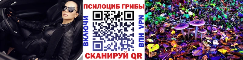 Галлюциногенные грибы GOLDEN TEACHER  купить   Ейск 